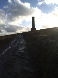 PeelingTOWER